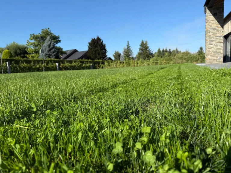 jardinera cerdanya